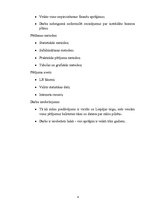 Biznesa plāns 'Biznesa plāns uzņēmumam "X"', 4.