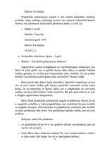 Biznesa plāns 'Biznesa plāns uzņēmumam "X"', 9.