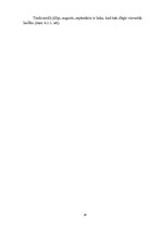 Biznesa plāns 'Biznesa plāns uzņēmumam "X"', 14.