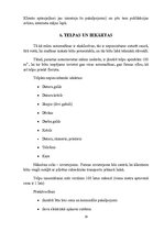 Biznesa plāns 'Biznesa plāns uzņēmumam "X"', 19.