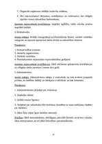 Biznesa plāns 'Biznesa plāns uzņēmumam "X"', 22.