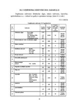 Biznesa plāns 'Biznesa plāns uzņēmumam "X"', 29.