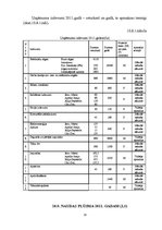 Biznesa plāns 'Biznesa plāns uzņēmumam "X"', 33.