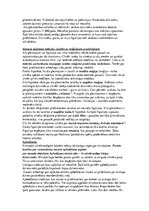 Referāts 'Jaunākie atklājumi paleolīta mākslā: vispārējs raksturojums', 4.