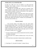 Referāts 'Politiskie aktieri un to mijiedarbība Cēsīs', 9.