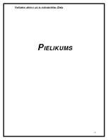 Referāts 'Politiskie aktieri un to mijiedarbība Cēsīs', 11.