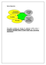 Referāts 'Portera piecu spēku konkurences izpēte', 4.