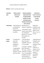 Konspekts 'Mācību stundas konspekts 3.klasei', 2.