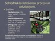 Prezentācija 'Valsts un ekonomika', 7.