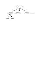 Konspekts 'Olbaltumvielas', 6.