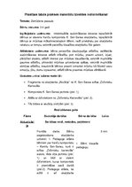 Paraugs 'Labās prakses materiāls', 1.