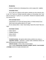 Konspekts 'Anatomija - galvaskauss, kauli, muskuļi', 2.