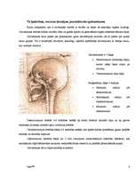 Konspekts 'Anatomija - galvaskauss, kauli, muskuļi', 6.