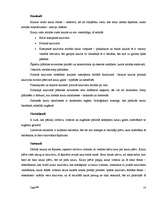 Konspekts 'Anatomija - galvaskauss, kauli, muskuļi', 10.