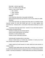 Konspekts 'Anatomija - galvaskauss, kauli, muskuļi', 13.