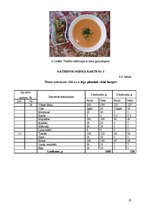 Prakses atskaite 'Ēdināšanas uzņēmuma ražošanas procesu dokumentācijas izstrāde', 22.