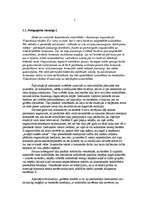 Referāts 'Konfliktsituācijas analīze', 5.