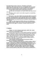 Referāts 'Konfliktsituācijas analīze', 8.