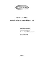 Referāts 'Radošuma audits uzņēmumā', 1.