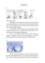 Referāts 'Radošuma audits uzņēmumā', 2.