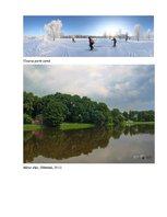 Referāts 'Vietas (Torņakalns) komplekss raksturojums', 7.