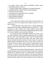 Diplomdarbs 'Ārvalstu investīciju piesaistīšana Rīgas brīvostas teritorijā', 17.