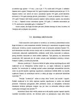 Diplomdarbs 'Ārvalstu investīciju piesaistīšana Rīgas brīvostas teritorijā', 27.