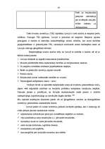 Diplomdarbs 'Ārvalstu investīciju piesaistīšana Rīgas brīvostas teritorijā', 43.