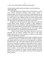 Diplomdarbs 'Ārvalstu investīciju piesaistīšana Rīgas brīvostas teritorijā', 54.