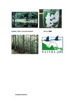 Eseja 'Sugu un biotopu aizsardzība un bioloģiskā daudzveidība', 4.