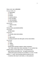 Prakses atskaite 'Prakses atskaite psiholoģijā', 4.