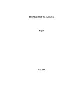 Referāts 'Business Trip to Jamaica', 1.