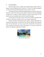 Referāts 'Business Trip to Jamaica', 13.