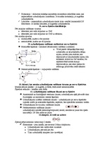 Konspekts 'Fizioloģija', 5.