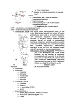 Konspekts 'Fizioloģija', 6.