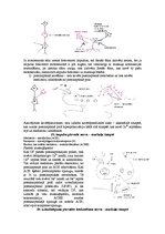 Konspekts 'Fizioloģija', 8.