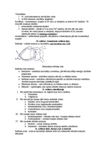Konspekts 'Fizioloģija', 9.