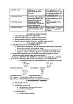 Konspekts 'Fizioloģija', 11.