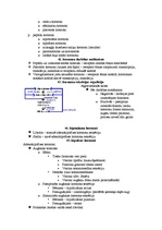 Konspekts 'Fizioloģija', 12.