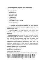 Konspekts 'Kvalitatīvās metodes', 2.