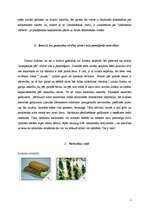 Referāts 'Narkomānija', 5.