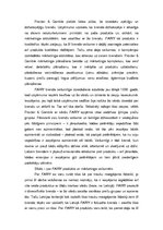 Konspekts 'Pasaules brenda "Fairy" apraksts', 2.