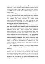 Konspekts 'Pasaules brenda "Fairy" apraksts', 4.