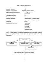 Prakses atskaite 'Prakses atskaite grāmatvedībā', 4.