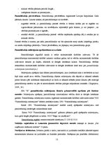 Prakses atskaite 'Prakses atskaite grāmatvedībā', 13.