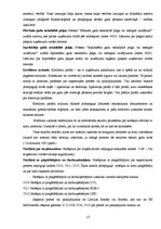 Prakses atskaite 'Prakses atskaite grāmatvedībā', 15.