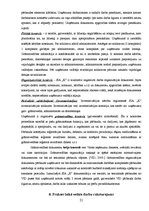 Prakses atskaite 'Prakses atskaite grāmatvedībā', 21.