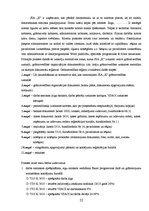 Prakses atskaite 'Prakses atskaite grāmatvedībā', 22.