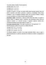 Prakses atskaite 'Prakses atskaite grāmatvedībā', 31.