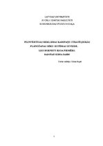 Referāts 'Pilnvērtīgas reklāmas kampaņu stratēģiskās plānošanas rīku sistēmas izveide', 1.